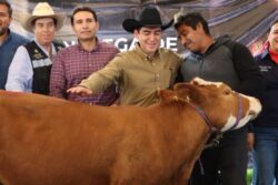 Entregan terneras, vientres ovinos e insumos agrícolas a 500 productores de Hidalgo