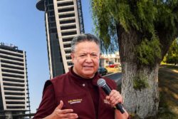 Sólo retirarían ejemplares secos o con plagas en zona del CASP: Menchaca
