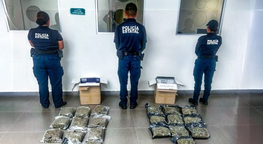 Retira Gabinete de Seguridad de Hidalgo 3 mil dosis de droga del mercado en una semana