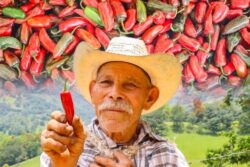 Chile Rayado reúne a más de 70 expositores en fiesta gastronómica de La Misión