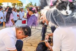 Aplican 300 vacunas y realizan 40 esterilizaciones en Tetepango