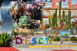 Hidalgo convierte un "kilómetro gris" en un corredor de vida para miles de polinizadores