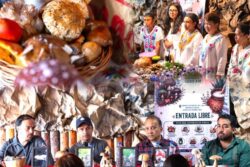 Huasca celebrará el primer Hongosto Fest con gastronomía, cultura y naturaleza