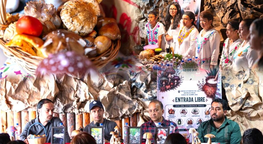 Huasca celebrará el primer Hongosto Fest con gastronomía, cultura y naturaleza