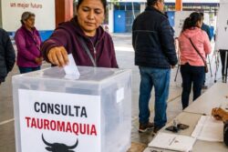Juez desecha amparo de Anima Naturalis contra consulta sobre corridas de toros en Hidalgo