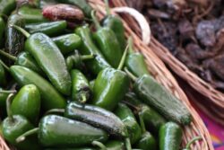 Hidalgo protege el chile rayado, patrimonio gastronómico de la Sierra Gorda