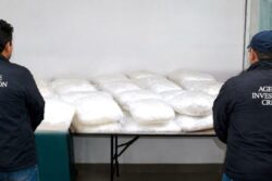 Golpe al narcotráfico: FGR decomisa 50 kilos de presunta metanfetamina en el Arco Norte