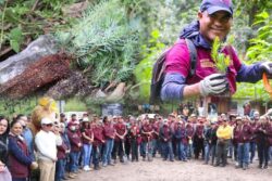 Semarnath celebra 44 años del Parque Nacional El Chico con la plantación de 3 mil 500 árboles