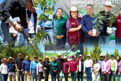 Pachuca inicia reforestación masiva para combatir 17 islas de calor