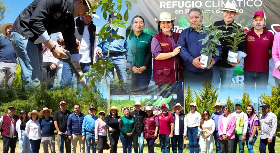 Pachuca inicia reforestación masiva para combatir 17 islas de calor