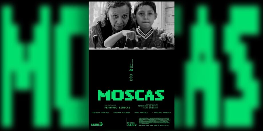 Moscas entrañables