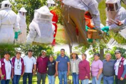 Guardianes de la vida: Tulancingo fortalece el rescate y protección de abejas
