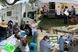 Hace dos años, los perros callejeros eran una queja constante en Huasca; hoy suman 285 esterilizaciones