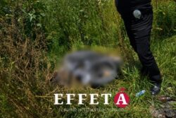 Localizan a persona sin vida y con quemaduras en Tizayuca