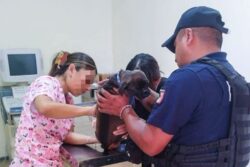 Procuraduría descarta delito en 34 de 45 denuncias presentadas por La Jauría de Balú