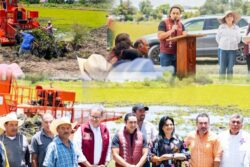 Retiran maleza acuática para recuperar histórica presa de Huasca