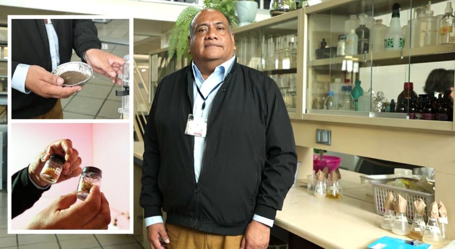 UPP transforma lirio acuático en materia prima con potencial industrial