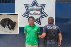 Rescatan a perro encerrado durante horas en un automóvil en Pachuca; detienen al propietario