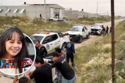 Tras ataque de jauría, Tizayuca censará a perros con dueño y en situación de calle