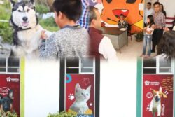Hospital con Garra atiende 310 casos de maltrato, lesiones y abandono animal en Mineral de la Reforma