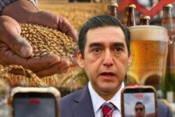 Impuesto a la cerveza no pegará a cebaderos de Hidalgo; consumidor pagaría aumento: Agricultura