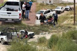 Tras ataque mortal en Tizayuca, aseguran a uno de los perros y buscan al resto