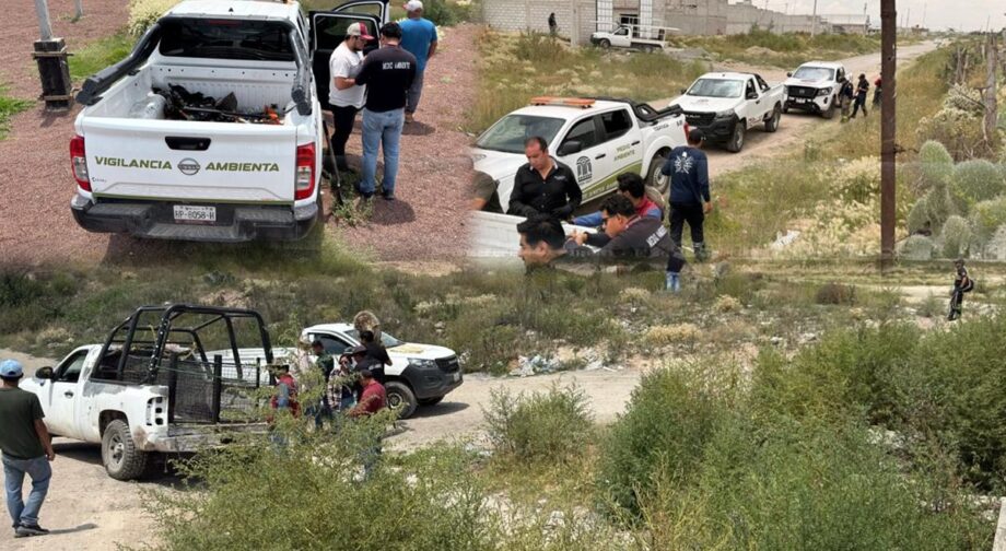 Tras ataque mortal en Tizayuca, aseguran a uno de los perros y buscan al resto