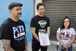 PETA y Animal Heroes denuncian a cuatro municipios de Hidalgo por corridas de toros