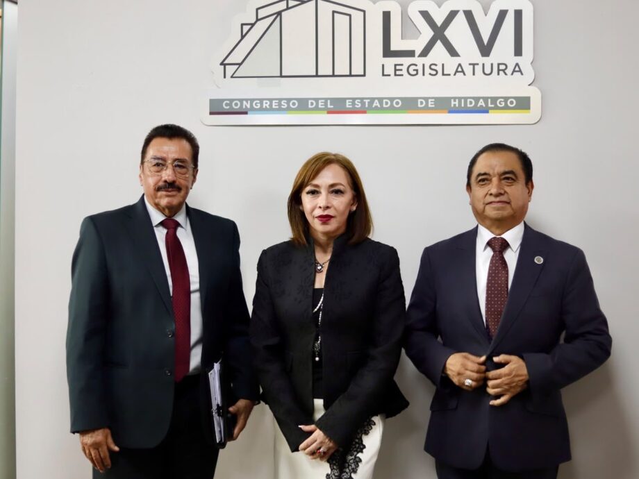Hidalgo supera los 44 mil empleos generados; falta capacitación para mejores salarios: STPSH — imagen 2