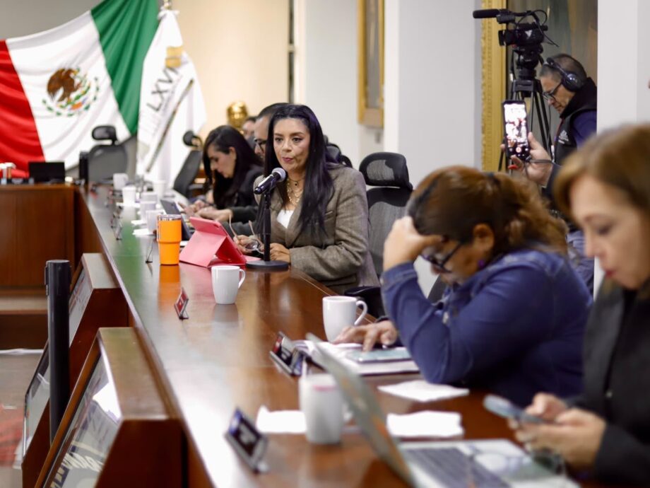 Hidalgo supera los 44 mil empleos generados; falta capacitación para mejores salarios: STPSH — imagen 3