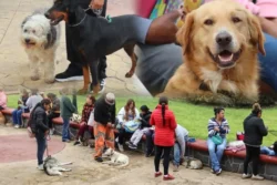 Tetepango aplica 800 vacunas antirrábicas y esteriliza a 40 mascotas durante jornada de salud animal