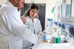 Crean en Hidalgo alternativa al mixiote natural con residuos de maguey