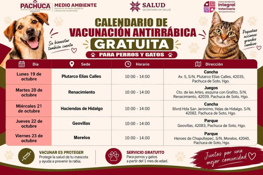 Pachuca ofrecerá vacunación antirrábica gratuita para perros y gatos en cinco colonias — imagen 2 Pachuca ofrecerá vacunación antirrábica gratuita para perros y gatos en cinco colonias — imagen 2