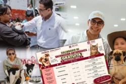 Pachuca ofrecerá vacunación antirrábica gratuita para perros y gatos en cinco colonias