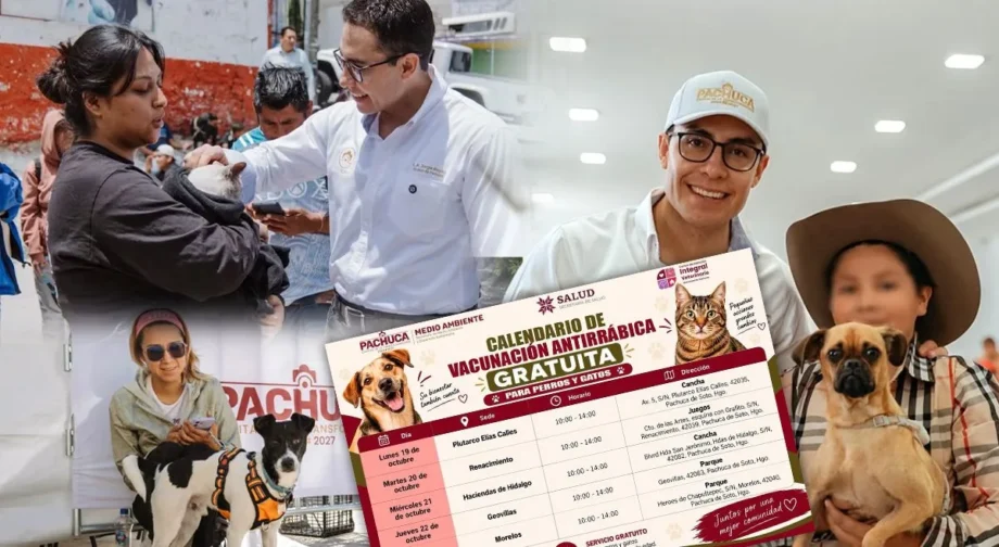 Pachuca ofrecerá vacunación antirrábica gratuita para perros y gatos en cinco colonias