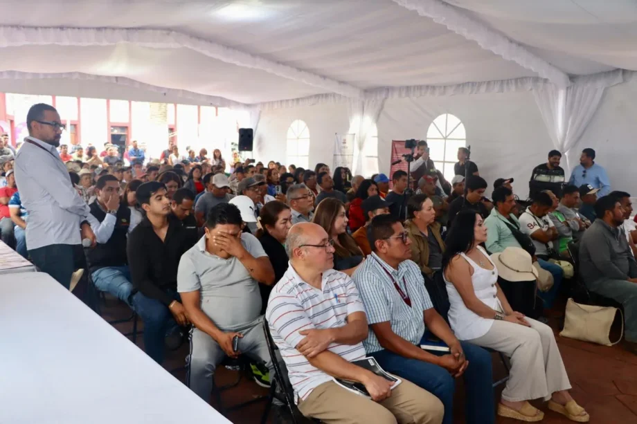 Tala ilegal, entre las principales preocupaciones de habitantes de Tenango de Doria — imagen 2 Tala ilegal, entre las principales preocupaciones de habitantes de Tenango de Doria — imagen 2