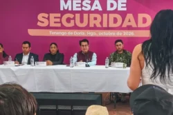 Tala ilegal, entre las principales preocupaciones de habitantes de Tenango de Doria